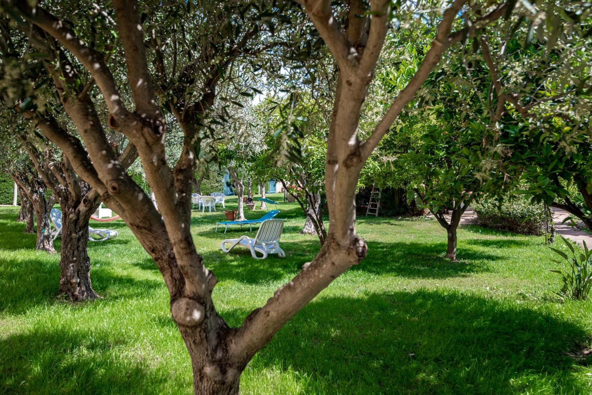 Villa Del Papiro Charme Apartments Avola Ngoại thất bức ảnh